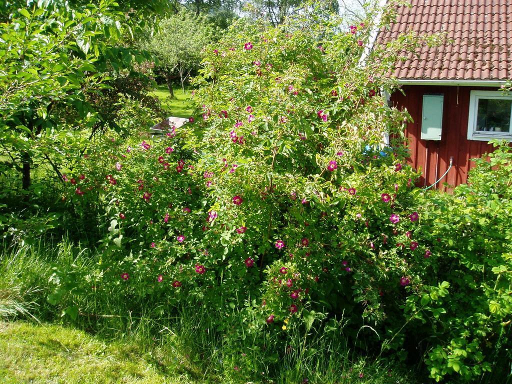 Langesater B&B Lerdala Exteriér fotografie